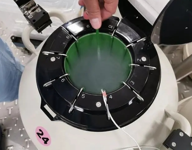 星空体育国际米兰