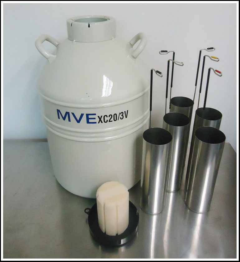 MVE XC星空体育国际米兰